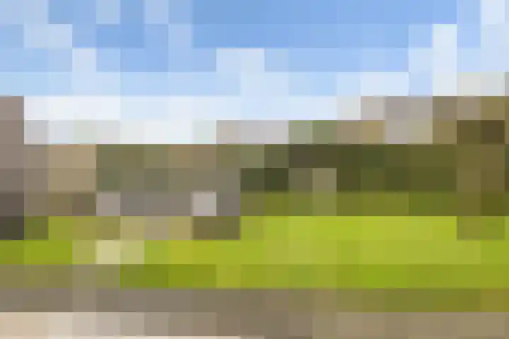 Warmoezerij 24 Huissen thumbnail 15