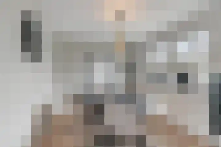 Warmoezerij 24 Huissen thumbnail 20