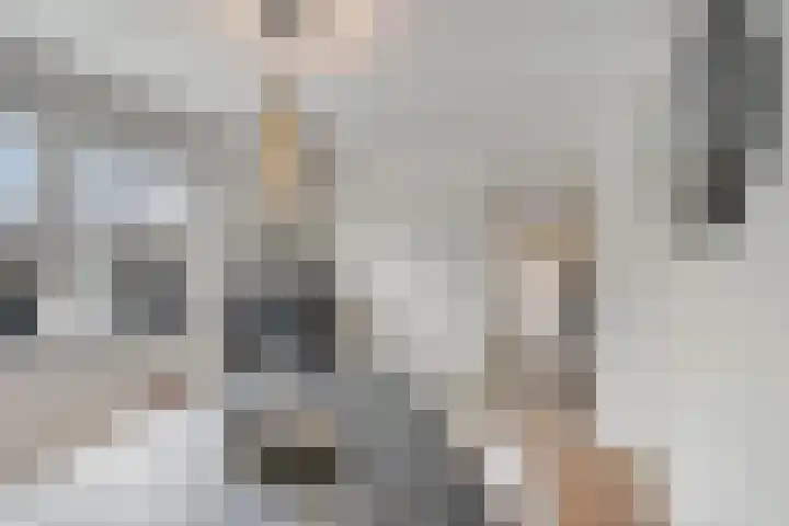 Warmoezerij 24 Huissen thumbnail 21