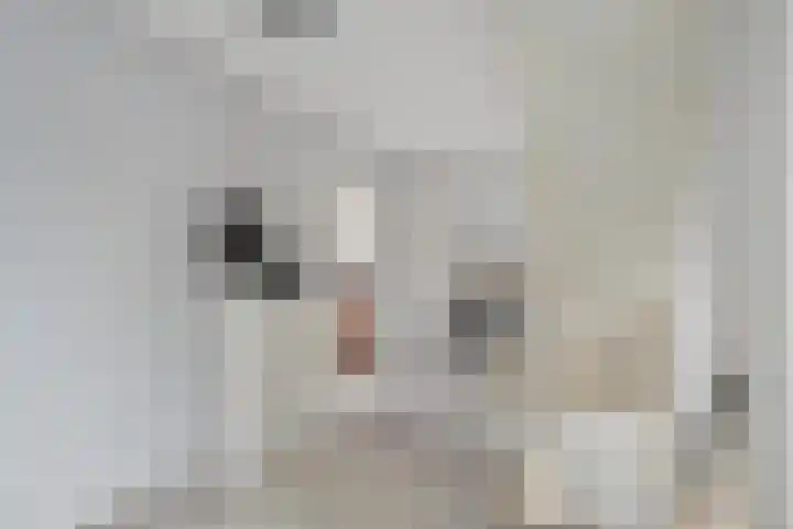 Warmoezerij 24 Huissen thumbnail 25