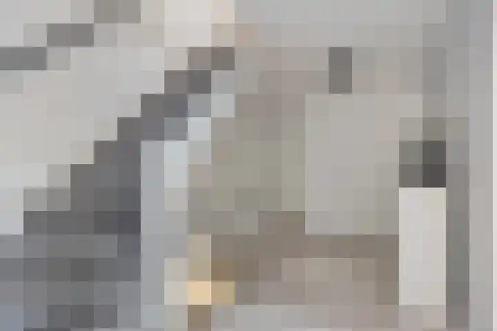 Warmoezerij 24 Huissen thumbnail 37
