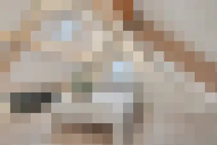 Warmoezerij 24 Huissen thumbnail 38