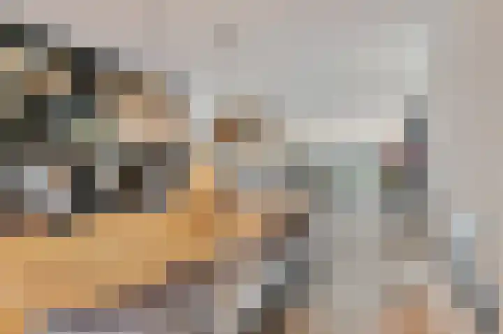 Warmoezerij 24 Huissen thumbnail 7
