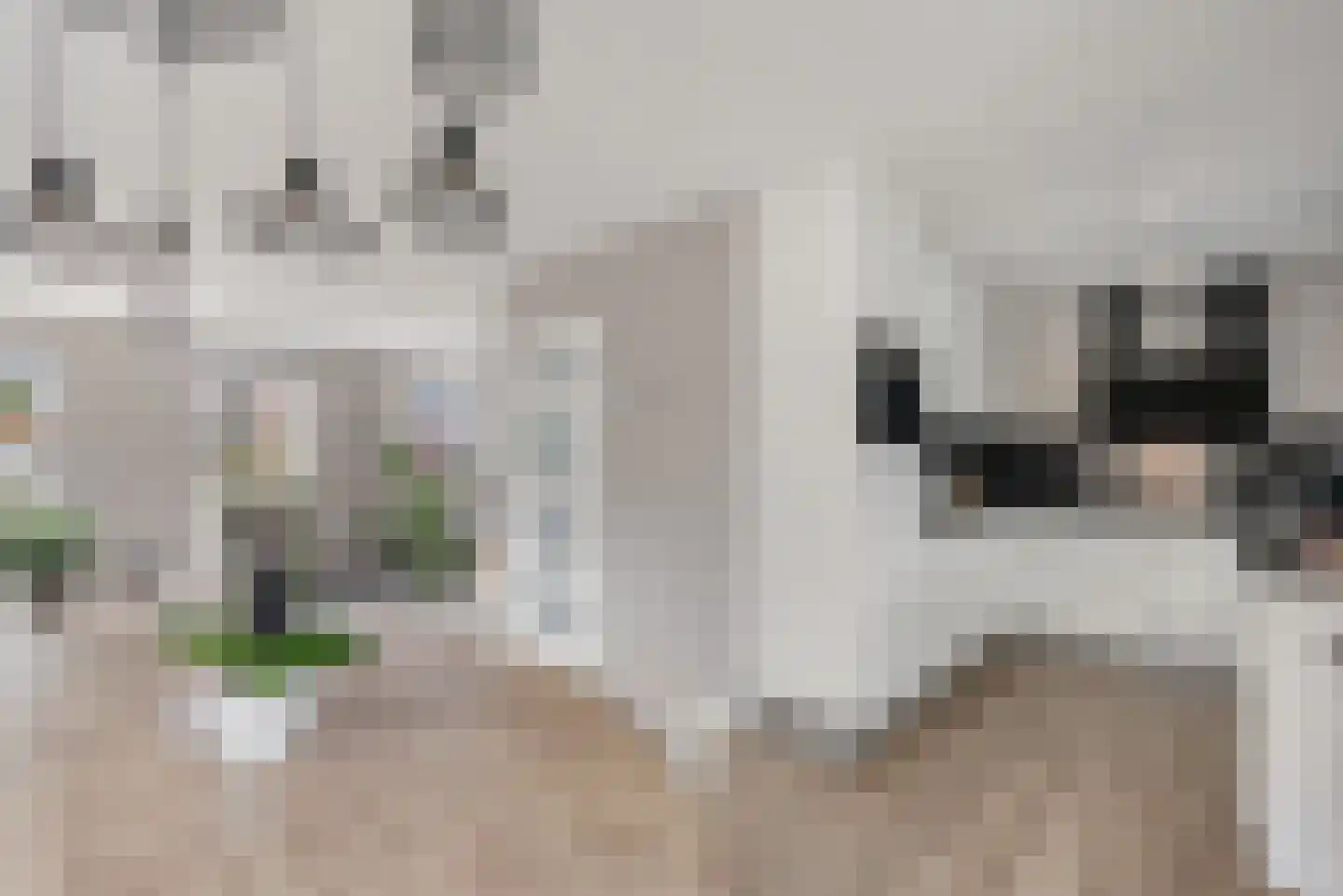 Warmoezerij 28 Huissen thumbnail 13