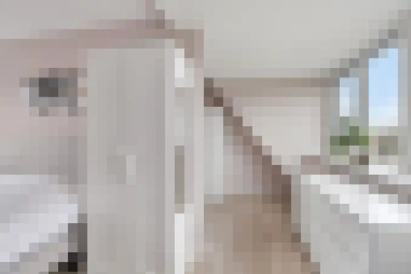 Warmoezerij 28 Huissen thumbnail 22