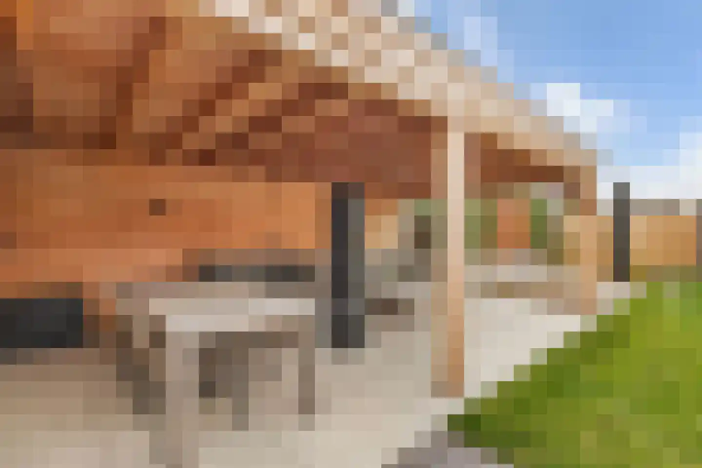 Warmoezerij 28 Huissen thumbnail 33