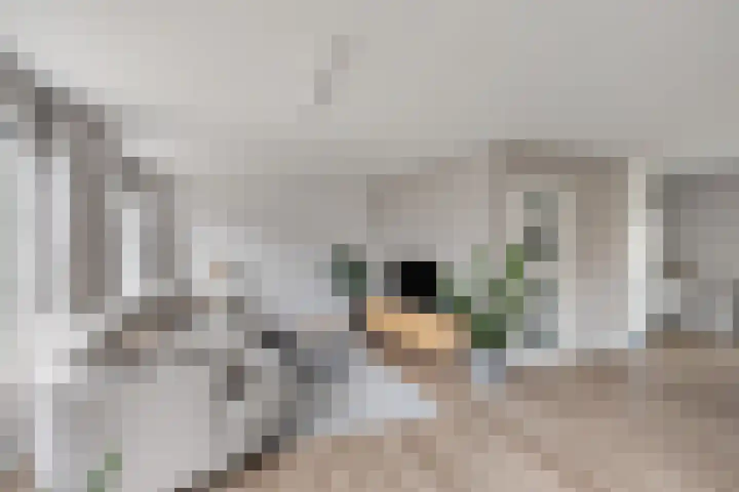 Warmoezerij 28 Huissen thumbnail 9