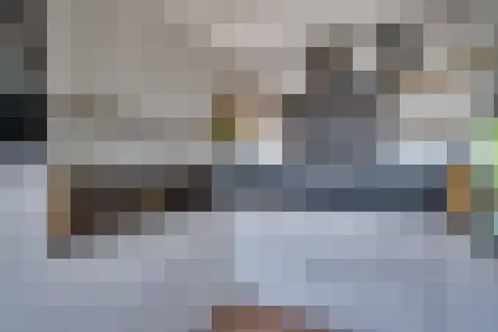 Warmoeziershof 26 Hendrik-Ido-Ambacht thumbnail 11