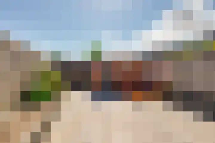 Warmoeziershof 26 Hendrik-Ido-Ambacht thumbnail 13
