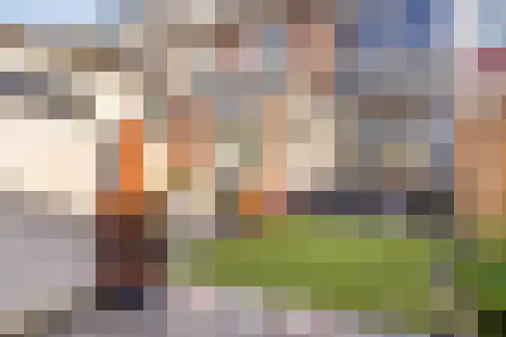 Warmoeziershof 3 Hendrik-Ido-Ambacht thumbnail 13