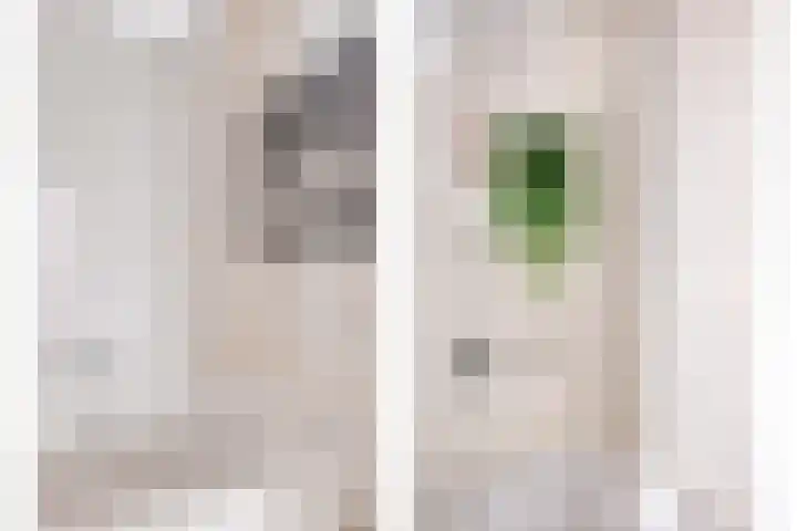 Warmoeziershof 3 Hendrik-Ido-Ambacht thumbnail 23