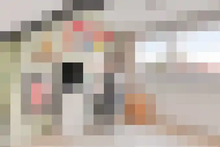 Warmoeziershof 3 Hendrik-Ido-Ambacht thumbnail 26