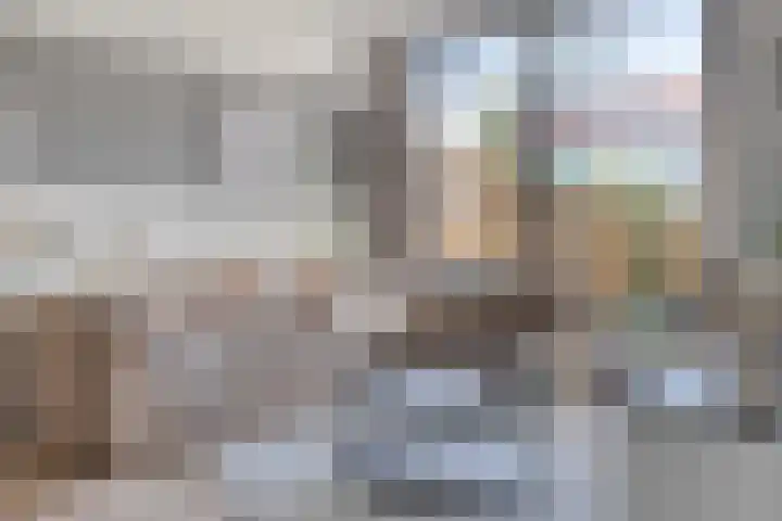Warmoeziershof 3 Hendrik-Ido-Ambacht thumbnail 4
