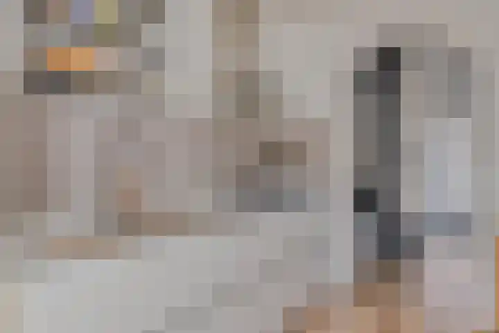Warmoeziershof 3 Hendrik-Ido-Ambacht thumbnail 7