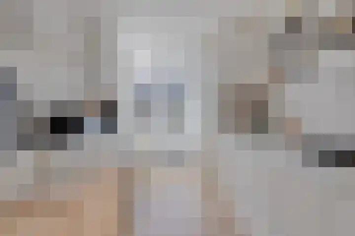 Warmoeziershof 3 Hendrik-Ido-Ambacht thumbnail 8