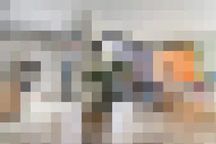 Warmoeziershof 3 Leiden thumbnail 16