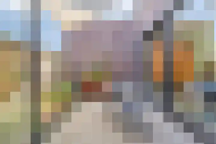 Warmoeziershof 3 Leiden thumbnail 24