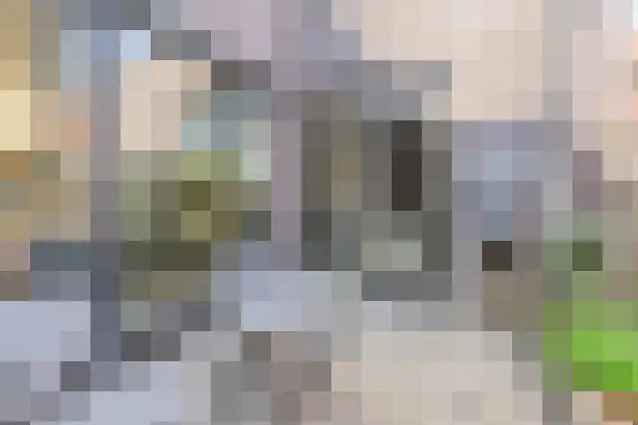 Warmoeziershof 3 Leiden thumbnail 25