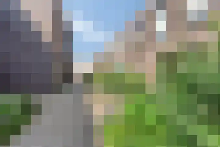 Warmoeziershof 3 Leiden thumbnail 39
