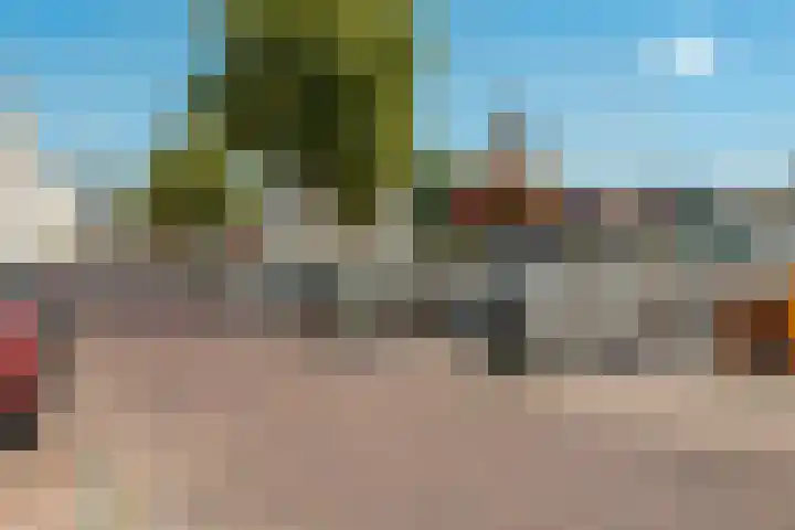 Warmoeziershof 3 Leiden thumbnail 42