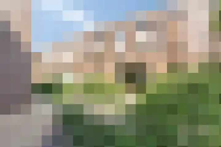 Warmoeziershof 3 Leiden thumbnail 46
