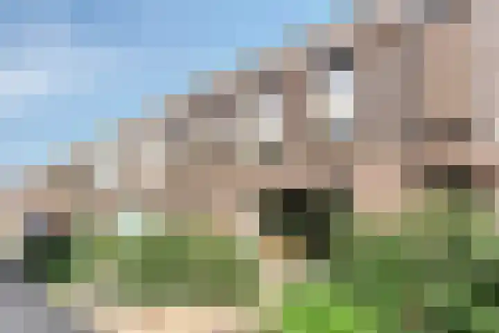 Warmoeziershof 3 Leiden thumbnail 8