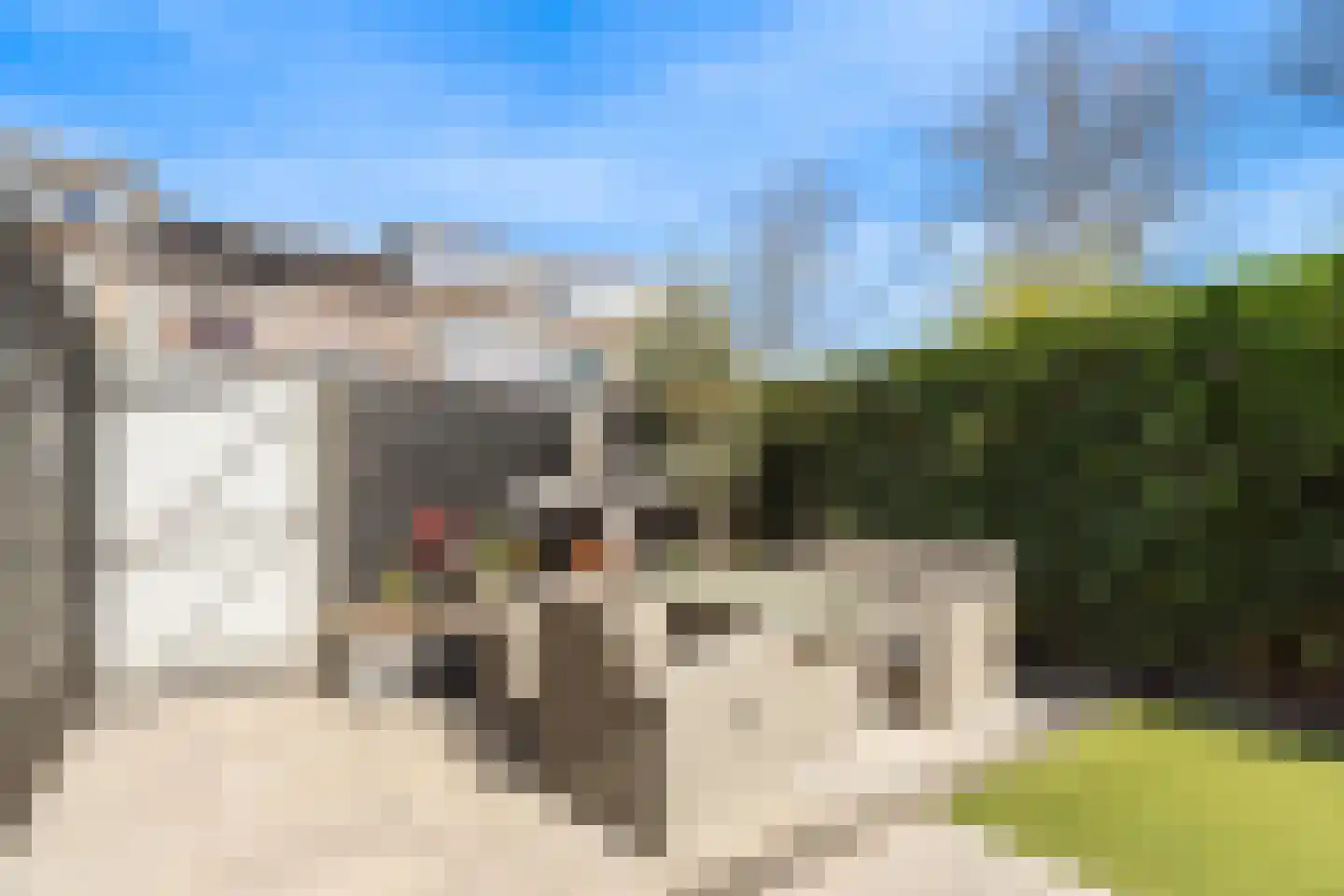 Warmoeziershof 31 Hendrik-Ido-Ambacht thumbnail 14