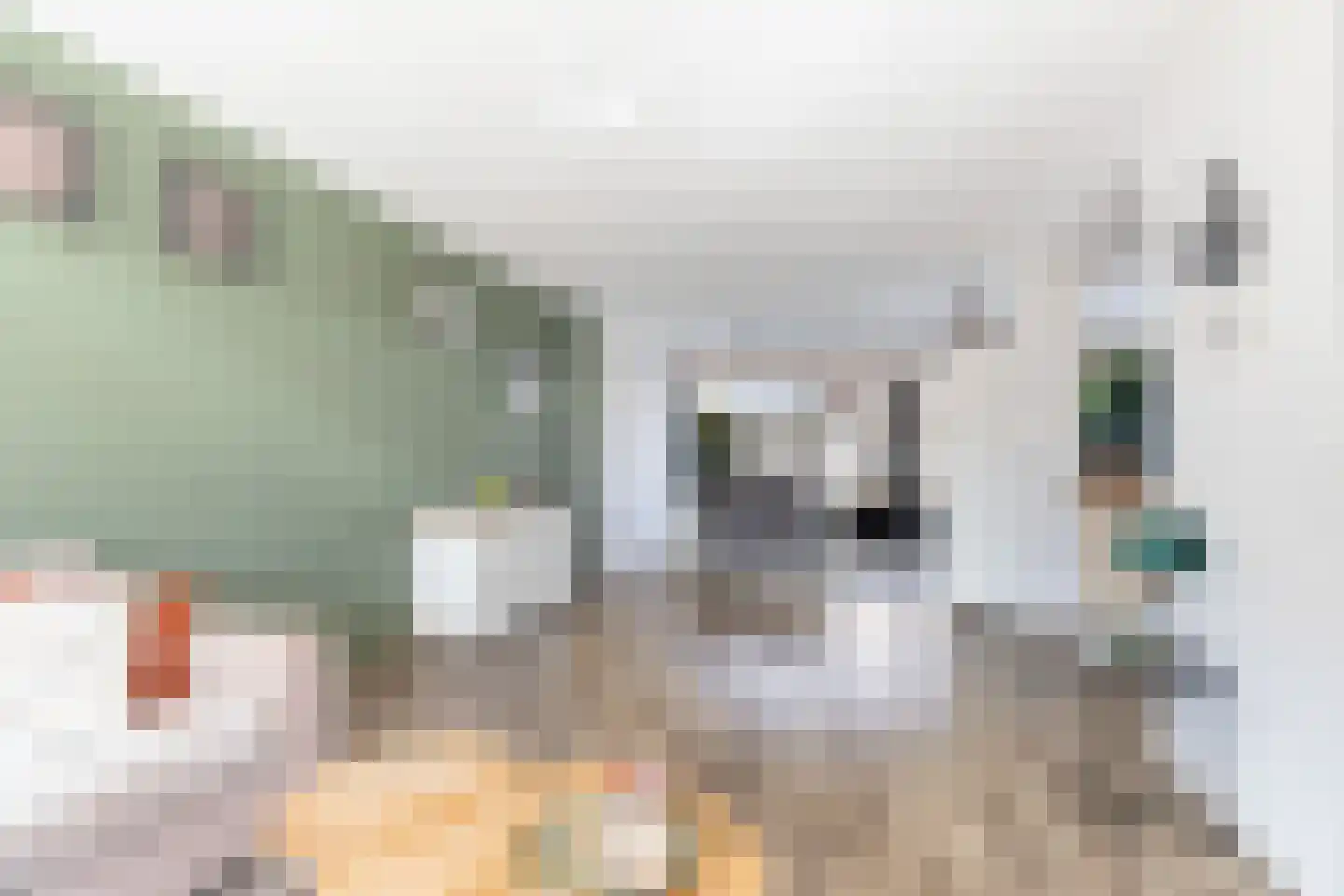 Warmoeziershof 31 Hendrik-Ido-Ambacht thumbnail 7