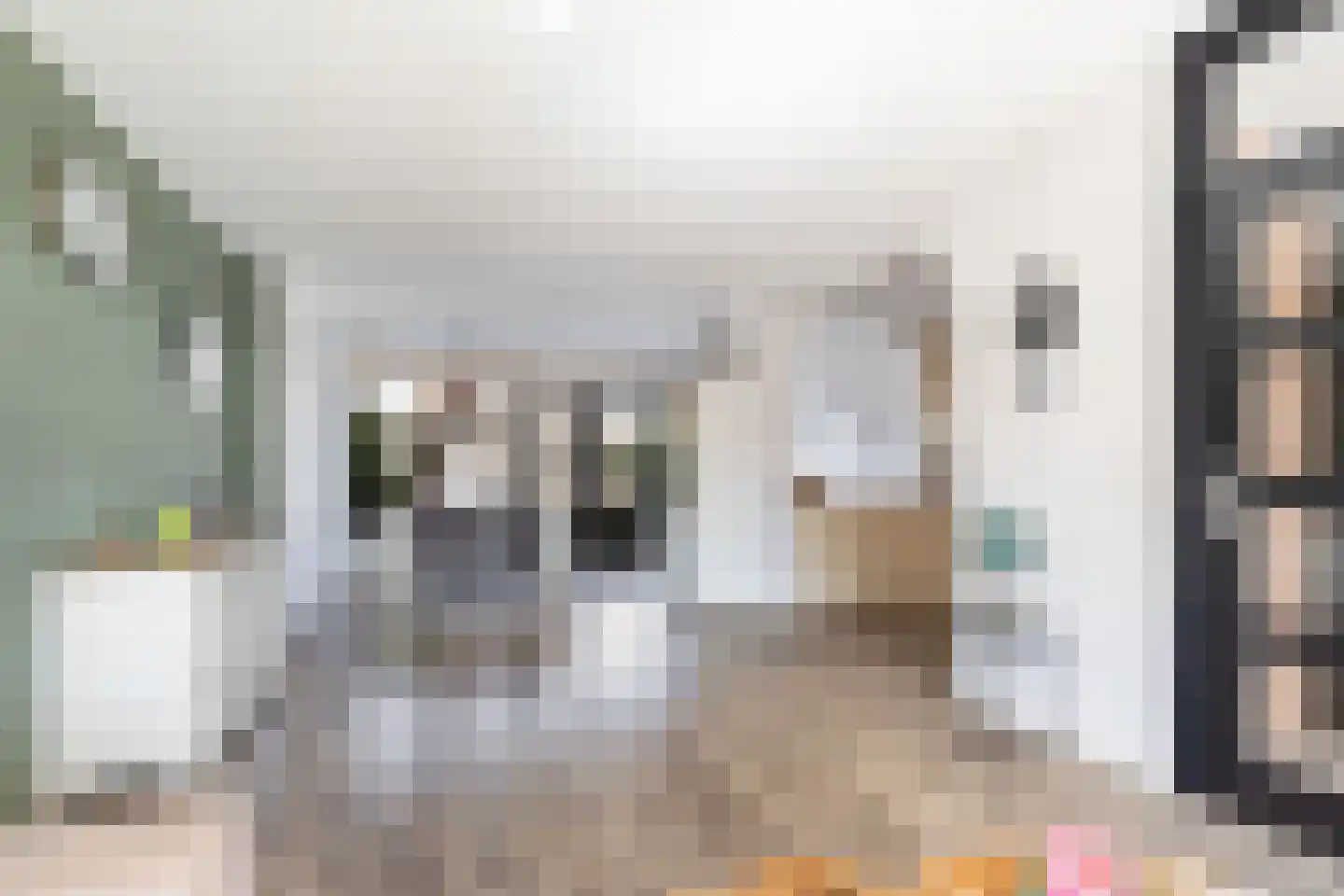 Warmoeziershof 31 Hendrik-Ido-Ambacht thumbnail 8