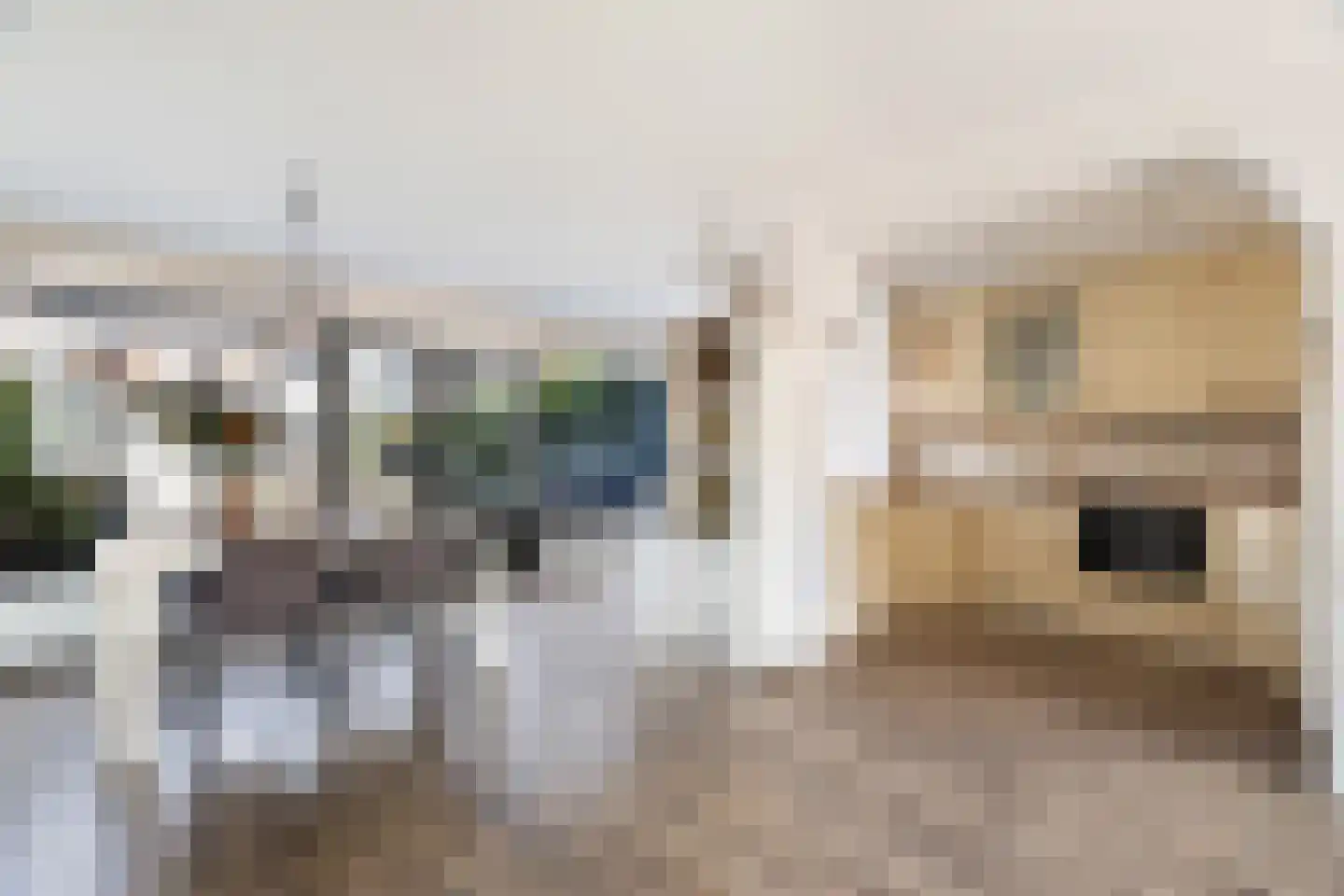 Warmoeziershof 31 Hendrik-Ido-Ambacht thumbnail 9