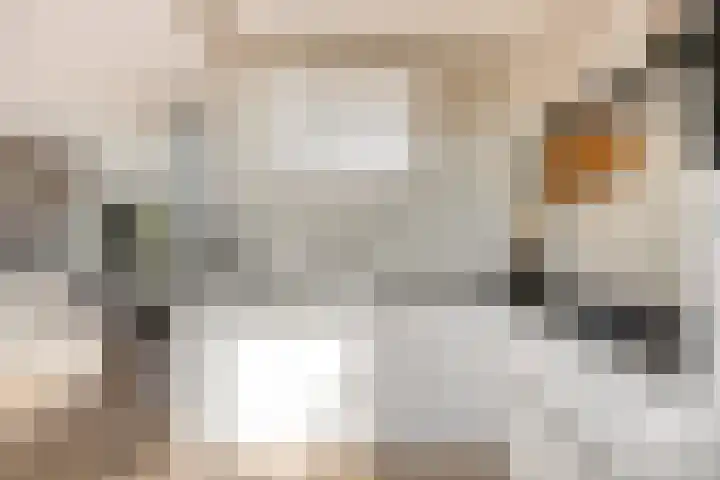 Warmoeziershof 36 Hendrik-Ido-Ambacht thumbnail 13
