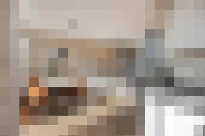 Warmoeziershof 36 Hendrik-Ido-Ambacht thumbnail 14