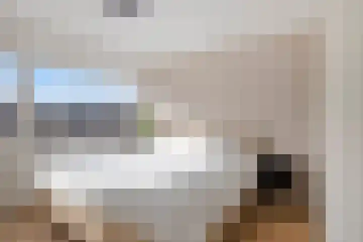 Warmoeziershof 36 Hendrik-Ido-Ambacht thumbnail 16