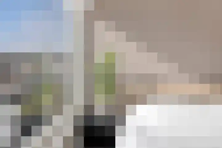 Warmoeziershof 36 Hendrik-Ido-Ambacht thumbnail 17