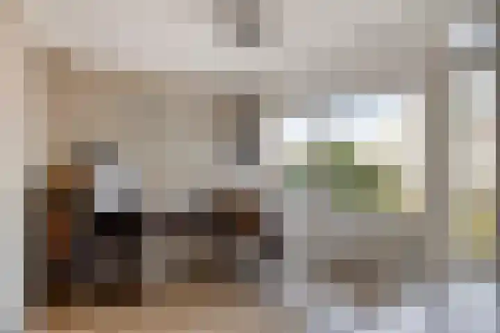 Warmoeziershof 36 Hendrik-Ido-Ambacht thumbnail 19