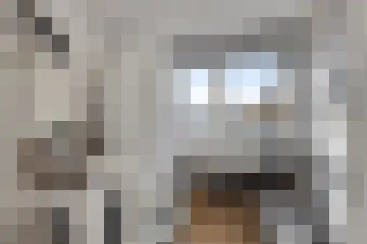 Warmoeziershof 36 Hendrik-Ido-Ambacht thumbnail 26