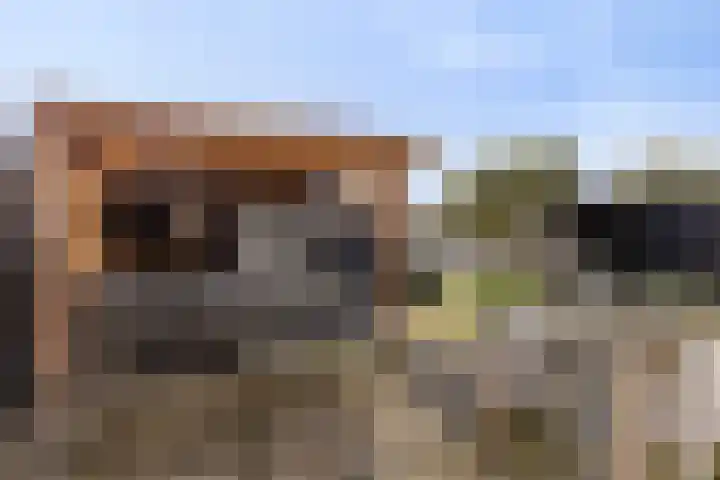 Warmoeziershof 36 Hendrik-Ido-Ambacht thumbnail 31