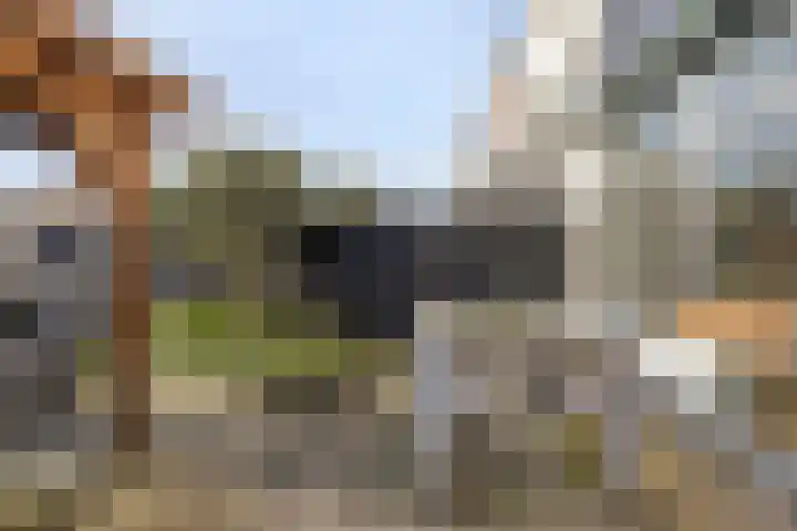 Warmoeziershof 36 Hendrik-Ido-Ambacht thumbnail 32