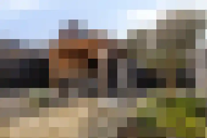 Warmoeziershof 36 Hendrik-Ido-Ambacht thumbnail 33