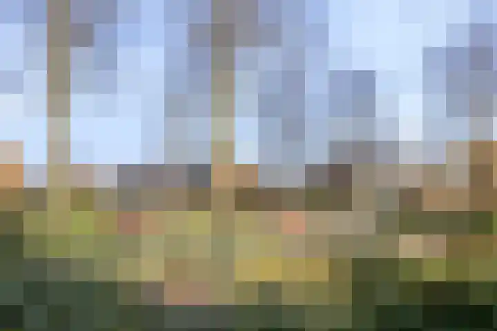 Warmoeziershof 36 Hendrik-Ido-Ambacht thumbnail 37