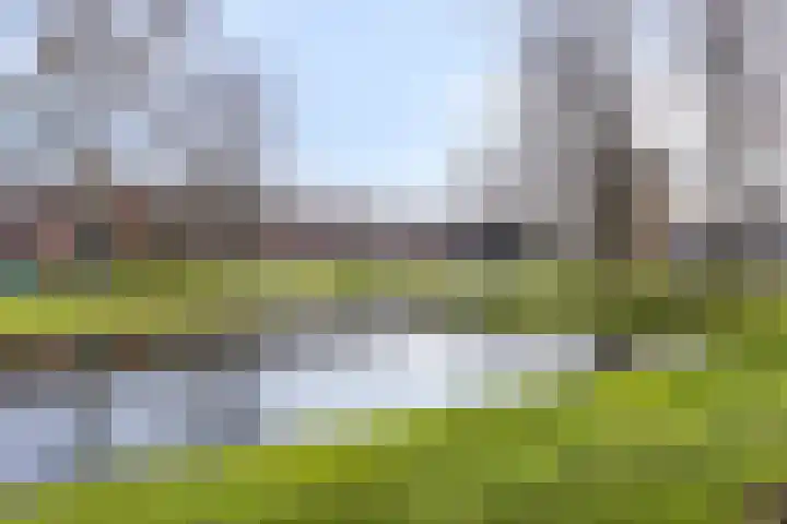Warmoeziershof 36 Hendrik-Ido-Ambacht thumbnail 38