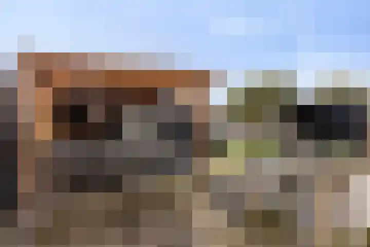 Warmoeziershof 36 Hendrik-Ido-Ambacht thumbnail 4