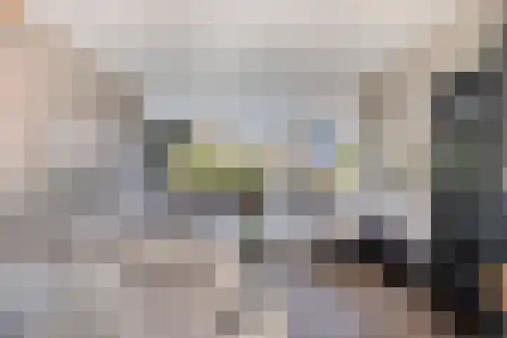 Warmoeziershof 36 Hendrik-Ido-Ambacht thumbnail 8