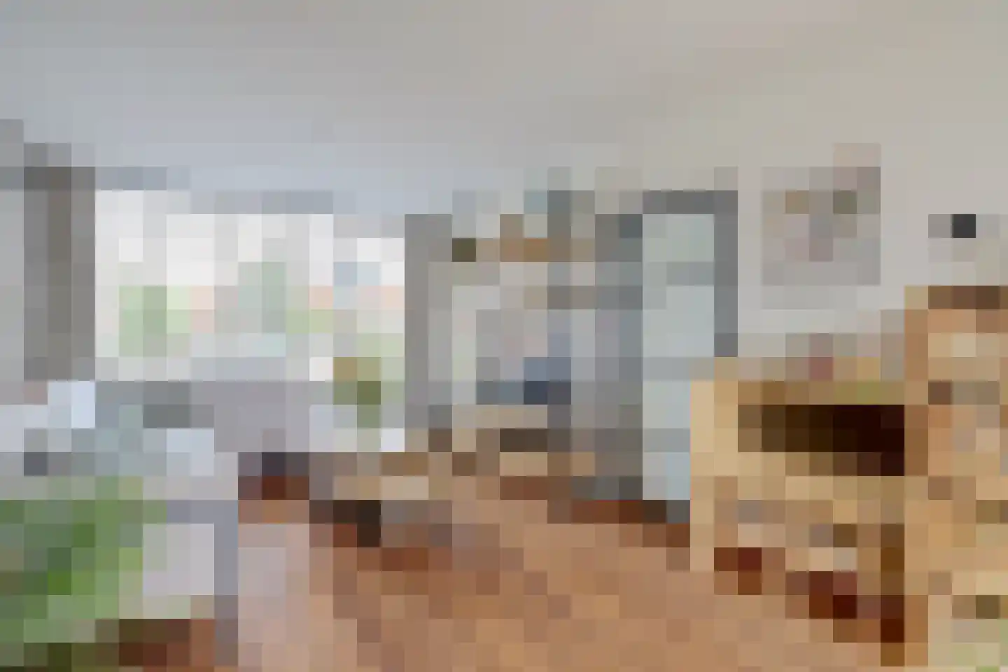 Warmoeziershof 4 Hendrik-Ido-Ambacht thumbnail 10