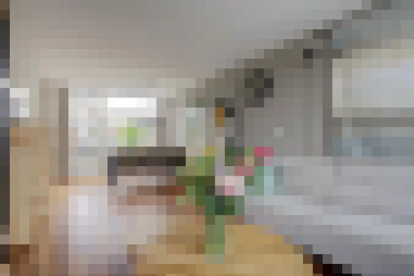 Warmoeziershof 4 Hendrik-Ido-Ambacht thumbnail 13