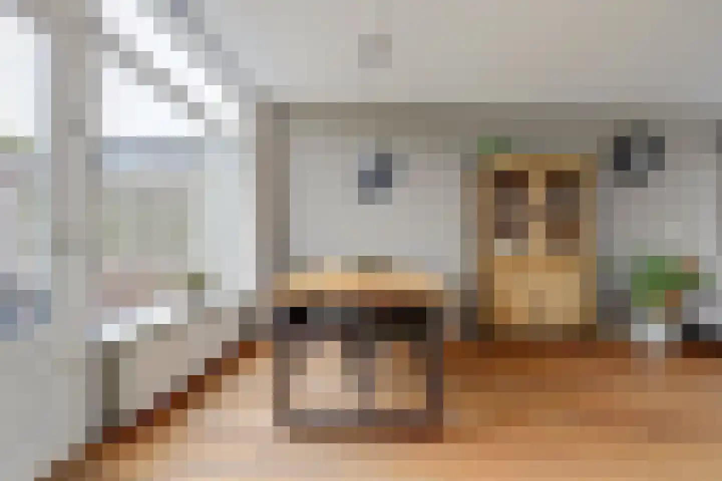 Warmoeziershof 4 Hendrik-Ido-Ambacht thumbnail 15