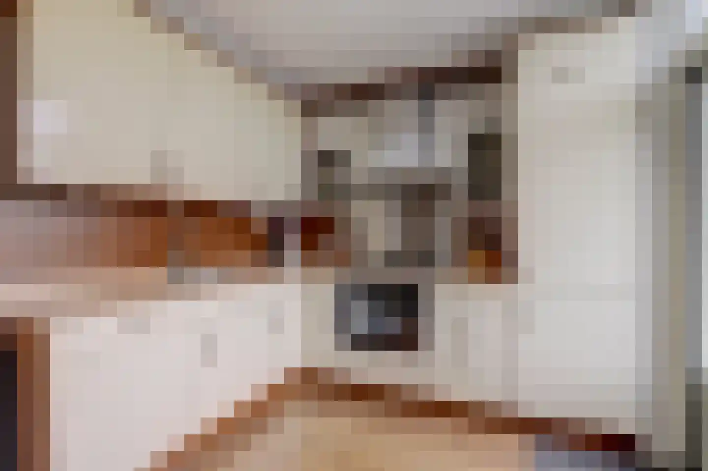 Warmoeziershof 4 Hendrik-Ido-Ambacht thumbnail 18