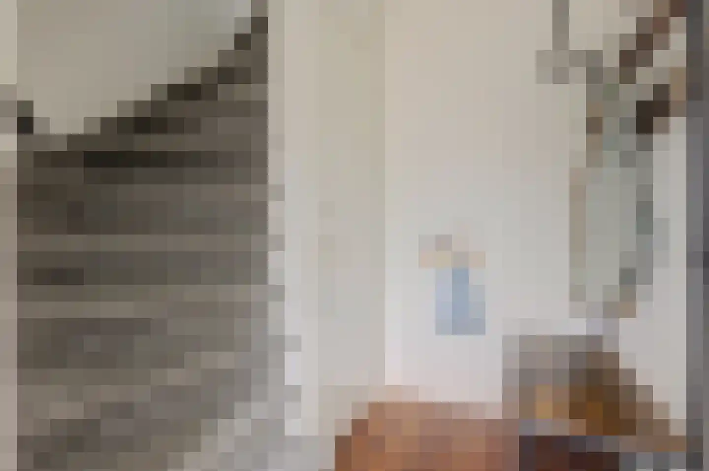 Warmoeziershof 4 Hendrik-Ido-Ambacht thumbnail 6