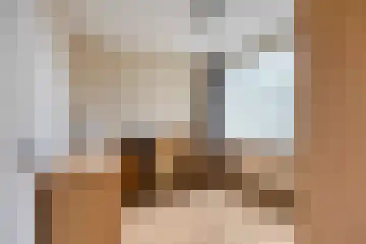 Warmoeziershof 52 Hendrik-Ido-Ambacht thumbnail 16