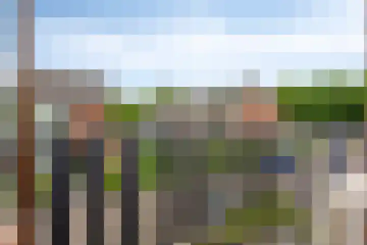 Warmoeziershof 52 Hendrik-Ido-Ambacht thumbnail 18